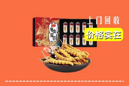 果洛达日县回收冬虫夏草